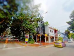 Joo Chiat Road (D15), Shop House #587082691